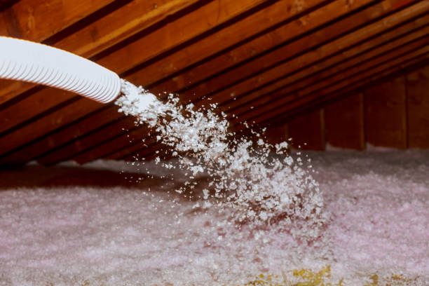 Best Insulation for Specific Applications in Dland, MI