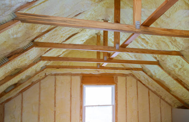 Best Commercial Insulation in Dland, MI