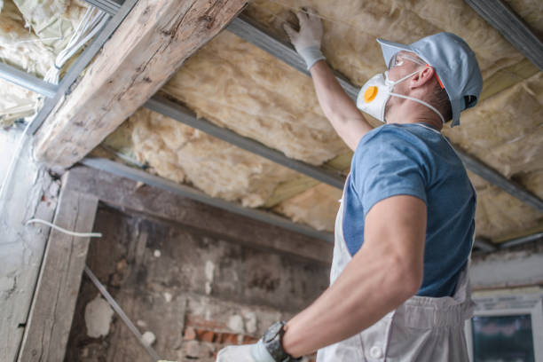  Dland, MI Insulation Contractor Pros