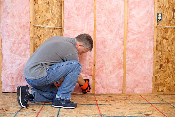 Best Specialized Insulation Services in Dland, MI