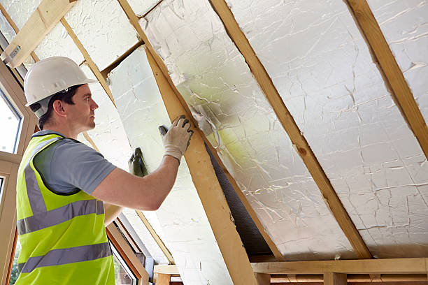 Best Spray Foam Insulation in Dland, MI