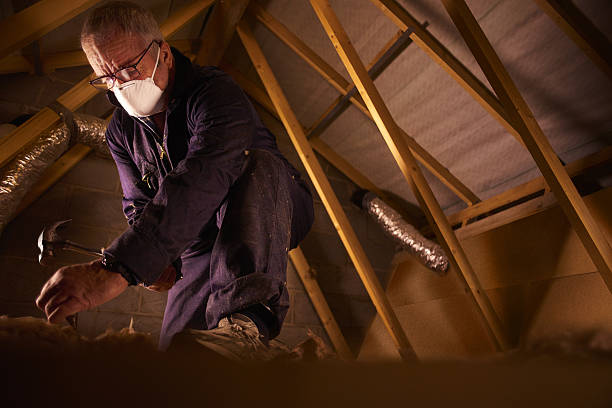 Best Eco-Friendly Insulation in Dland, MI